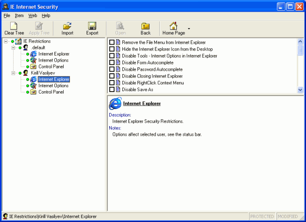 IE Internet Security Screenshot